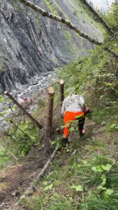 Tronçonnage au ruisseau du Vallon